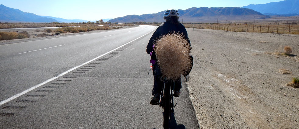 bicycle-riding-with-a-rolling-bush-in-the-desert