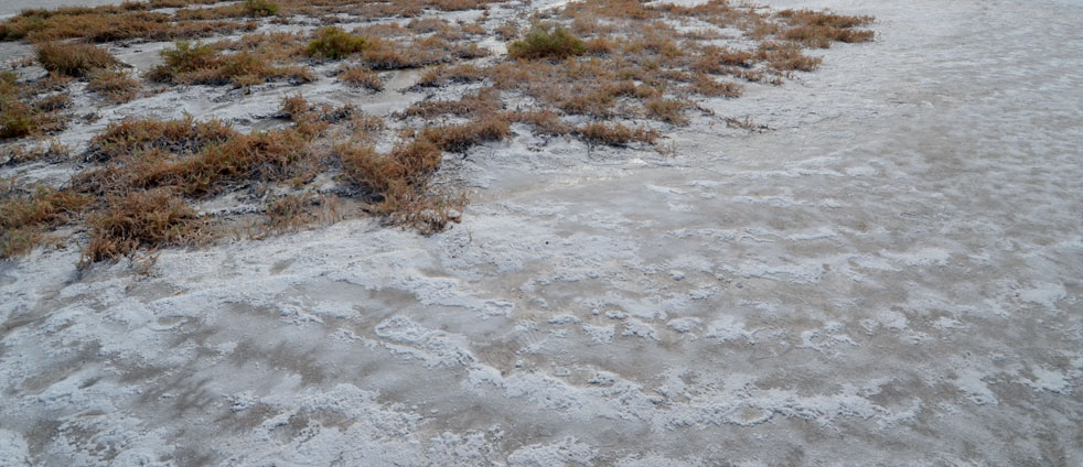 death-valley-salt-lake