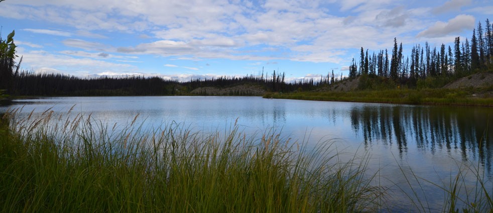 the-steward-cassiar-highway-description-road-conditions